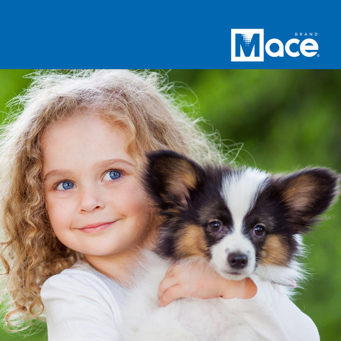 Dog Ownership 101 - What it Takes to Raise a Puppy