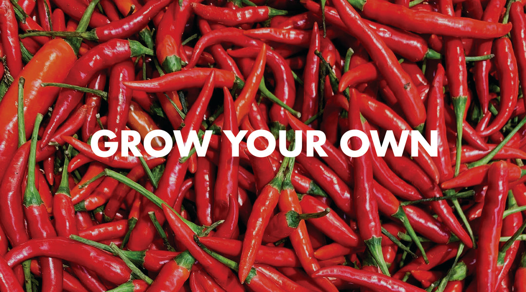 Grow Your Own Peppers - Is Pepper Spray Really Made From Peppers?