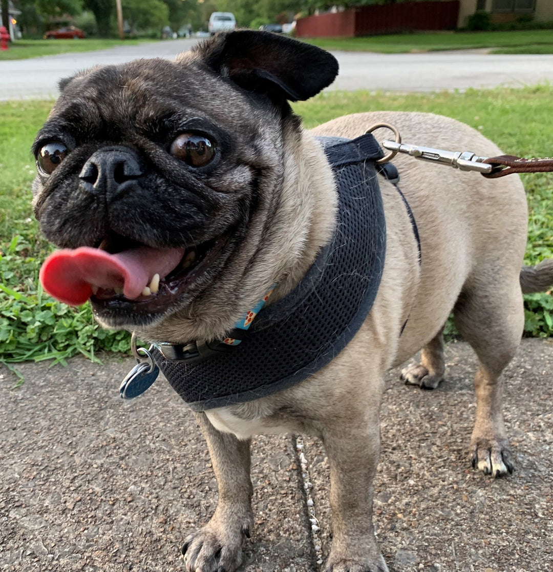 Of All People, I Should Have Had Pepper Spray When It Mattered