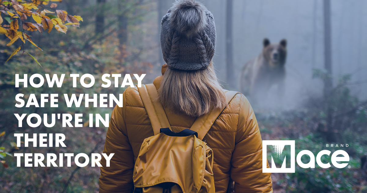 Bear Safety Tips How to Protect Yourself with Sightings and Attacks