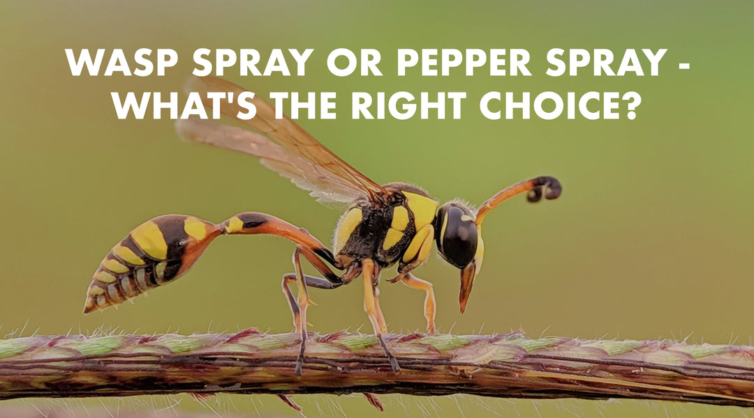 Wasp Spray or Pepper Spray - Can I Use Wasp Spray for Self-Defense