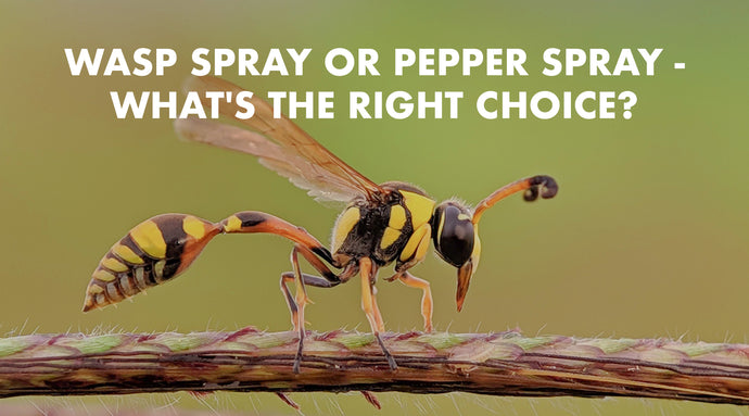 Wasp Spray or Pepper Spray - Can I Use Wasp Spray for Self-Defense?  What's the Right Choice?