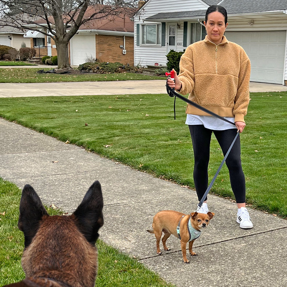 NEW ITEM Mace® Brand Dog Leash with Airhorn to Protect Yourself and Your Pet Equipped With Ergo Leash Handle and Super Bright LED Light (Designed by SafeNSound)