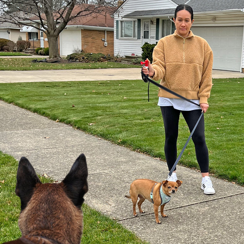 Load image into Gallery viewer, NEW ITEM Mace® Brand Dog Leash with Airhorn to Protect Yourself and Your Pet Equipped With Ergo Leash Handle and Super Bright LED Light (Designed by SafeNSound)
