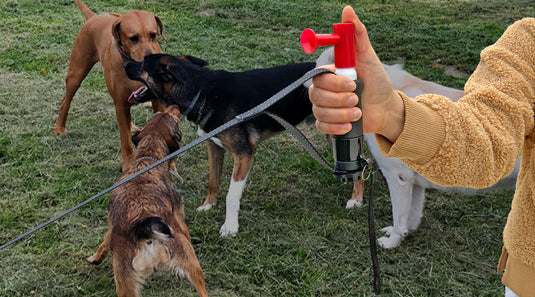 DOG LEASH WITH AIRHORN