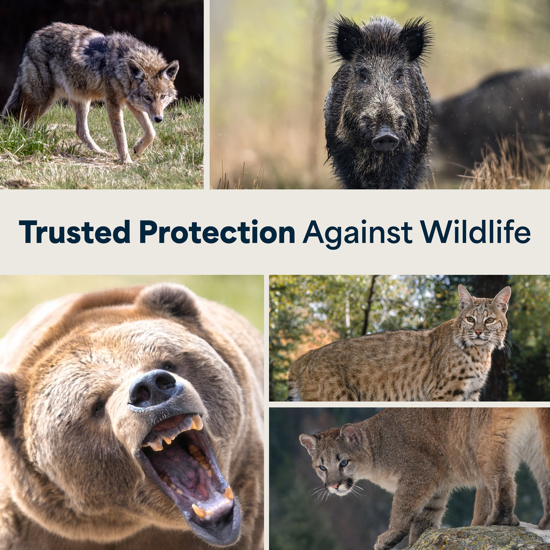 Mace Guard Alaska Bear Deterrent & Self Defense Spray with Spray Holster