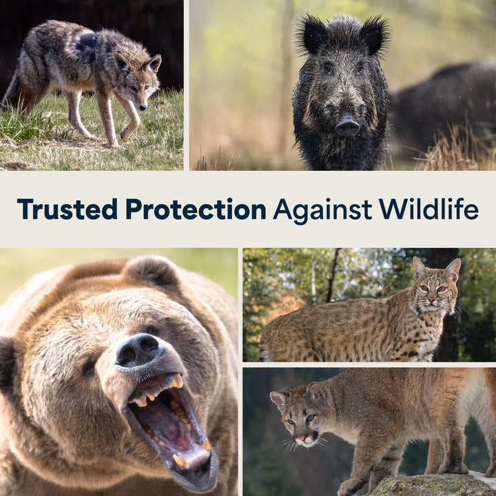 Mace Guard Alaska Bear Deterrent & Self Defense Spray with Spray Holster, 2 Pack