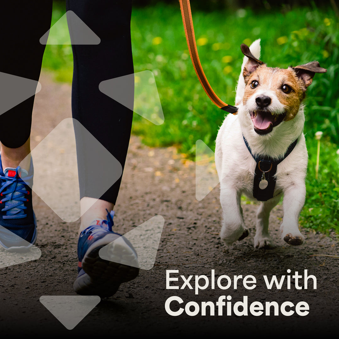 Mace Flip Top Muzzle Dog Deterrent & Self Defense Spray, 2 Pack