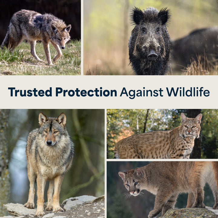 Mace Guard Alaska Bear Deterrent & Self Defense Spray with Spray Holster, 2 Pack