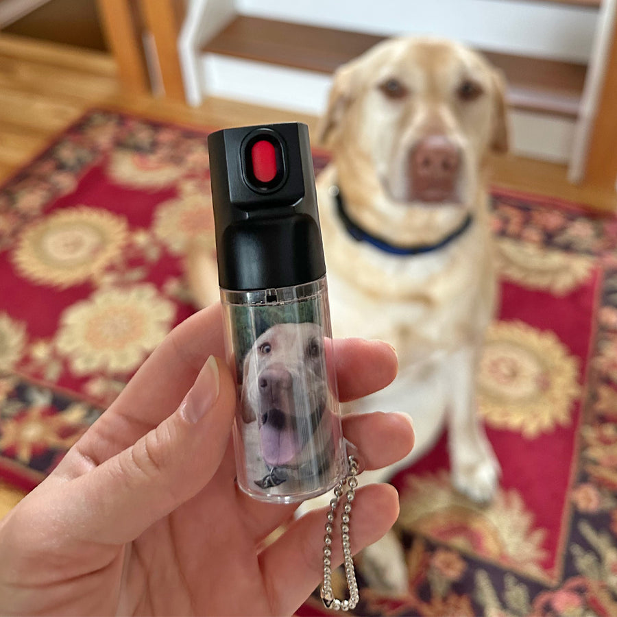Key Chain Mace Self Defense Keychains – Mace® Brand