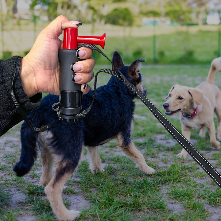 Mace® Brand Dog Leash with Airhorn to Protect Yourself and Your Pet Equipped With Ergo Leash Handle and Super Bright LED Light (Designed by SafeNSound)