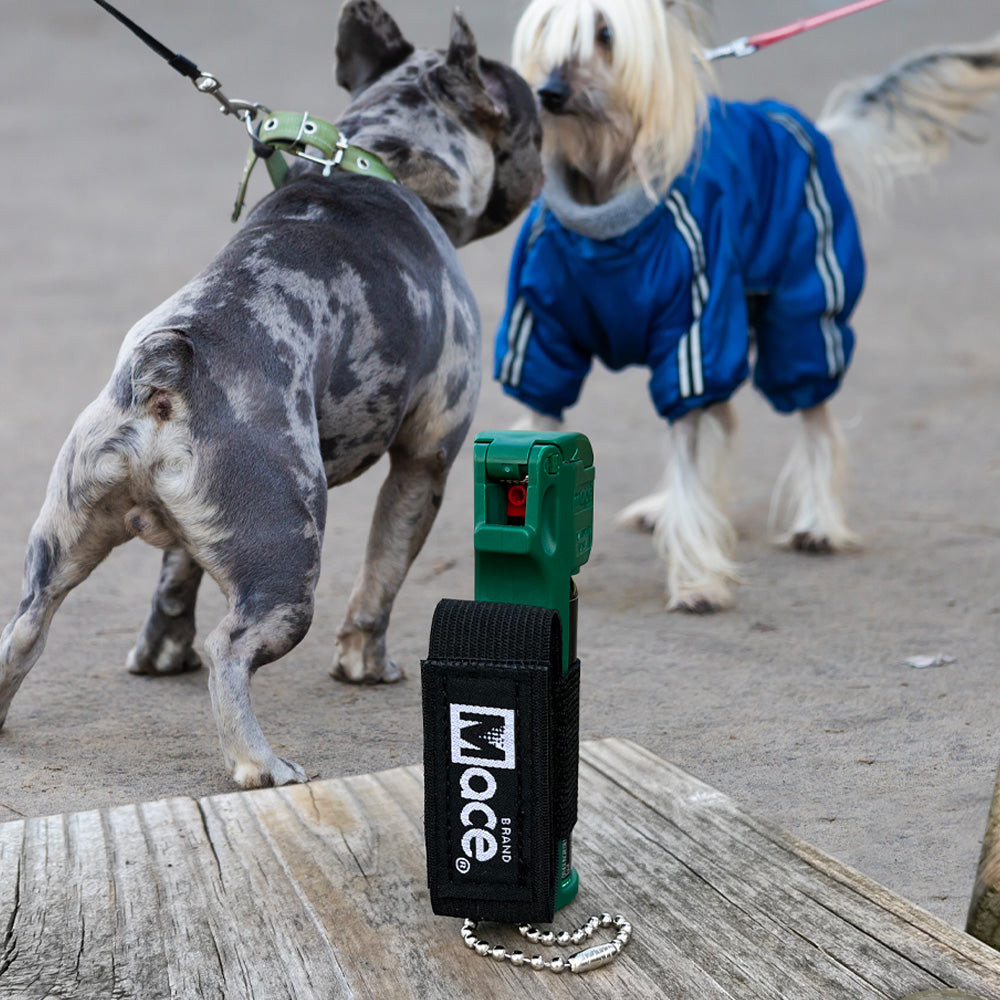 Muzzle Dog Repellent Pepper Spray