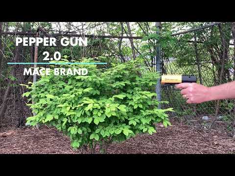 Pepper Guns 2.0 - 2 Pack